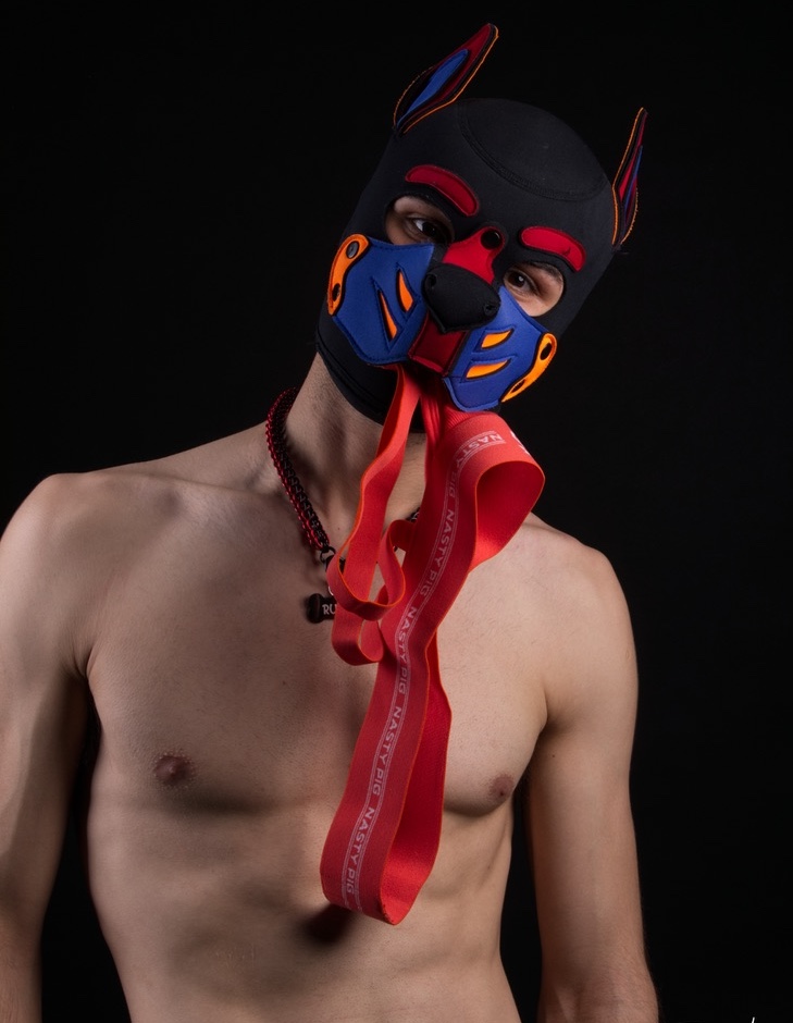 Pup Ruby's Profile Picture